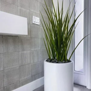 Artificial Grass Buy 1 Take 1