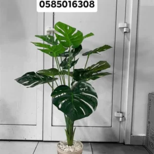 Artificial Plant Monstera Small Buy 1 Take 1